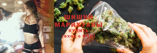 PSILOCYBIN Майский