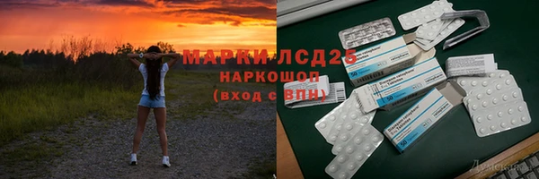 PSILOCYBIN Майский